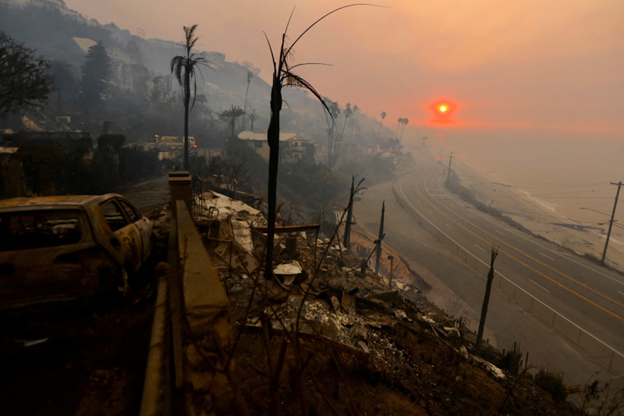 Los Angeles, shaped by the devastation it endured.