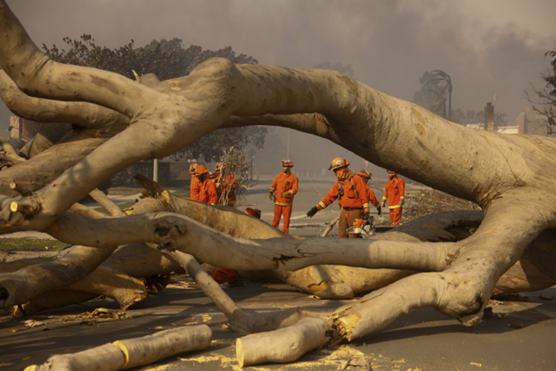 Los Angeles fires: nature's wrath versus human resilience.